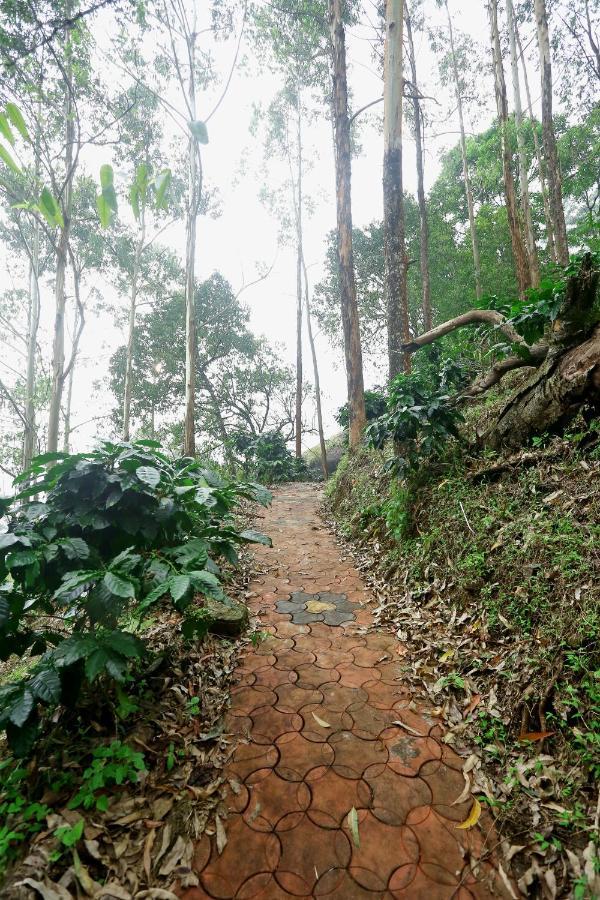 Green Magic Home Munnar Εξωτερικό φωτογραφία