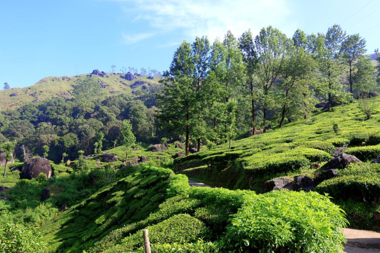 Green Magic Home Munnar Εξωτερικό φωτογραφία