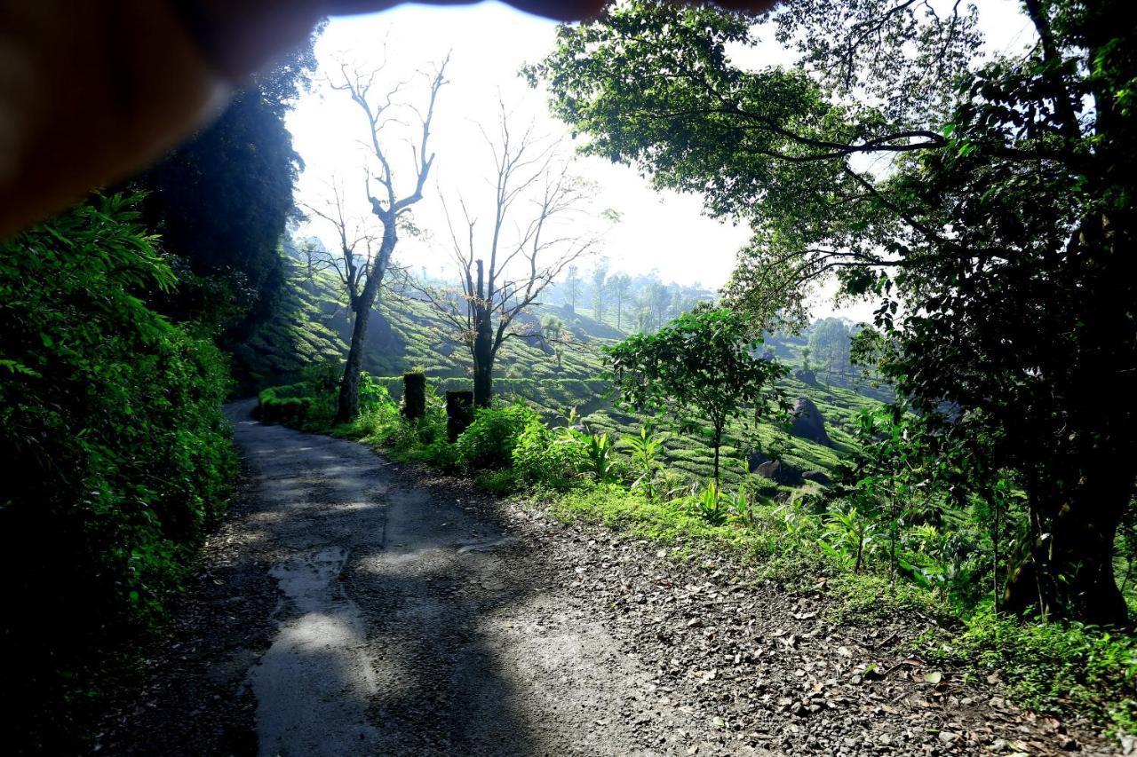 Green Magic Home Munnar Εξωτερικό φωτογραφία
