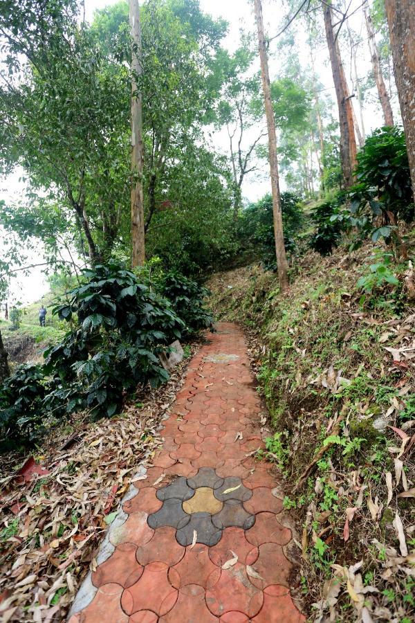 Green Magic Home Munnar Εξωτερικό φωτογραφία