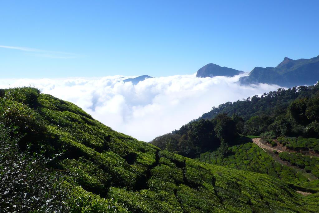 Green Magic Home Munnar Εξωτερικό φωτογραφία