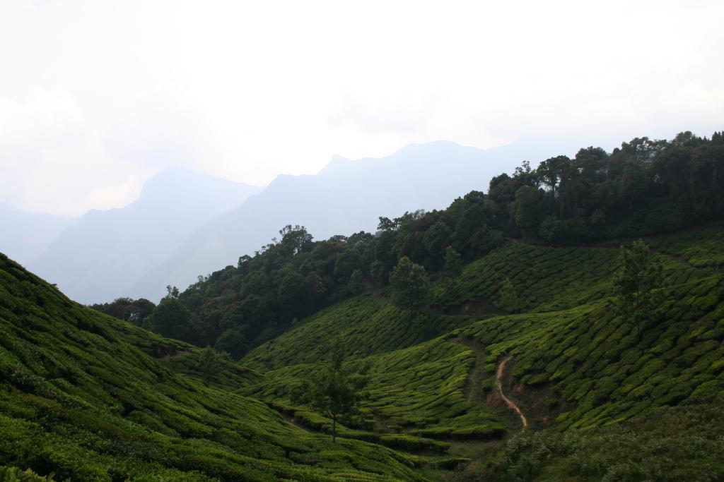 Green Magic Home Munnar Εξωτερικό φωτογραφία